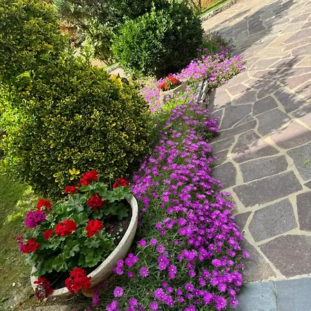 Edo Lägenhet Sveti Lovreč Pazenatički