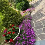 Edo Lägenhet Sveti Lovreč Pazenatički